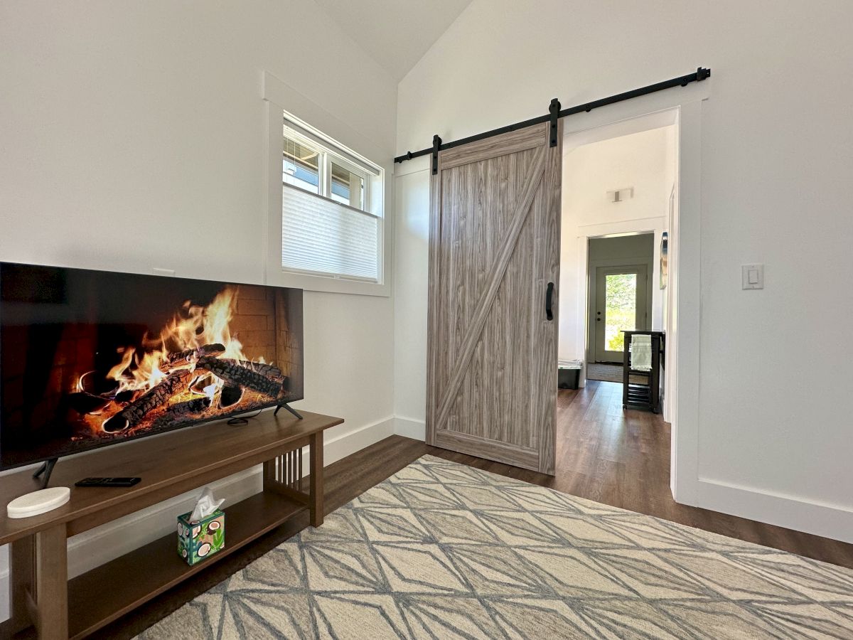 A living room with a TV displaying a fireplace on a wooden stand, a sliding barn door, window, and patterned rug.