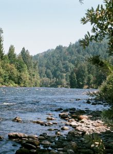 A serene river flows between lush green trees and rocky banks, with a background of forested hills under a clear sky.