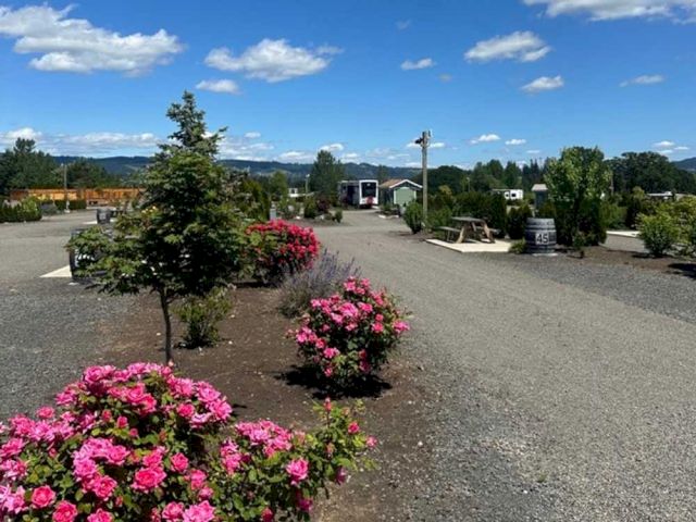 A scenic outdoor area with pink flowering bushes, trees, gravel paths, picnic tables, and a clear sky with scattered clouds in the background.