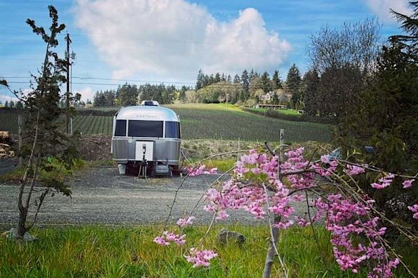An Airstream trailer is parked on a grassy path, surrounded by trees, pink blossoms, and a scenic view of hills and blue sky.