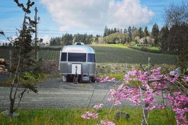 A silver camper is parked on a gravel path with blooming pink flowers in the foreground and a countryside landscape in the background.