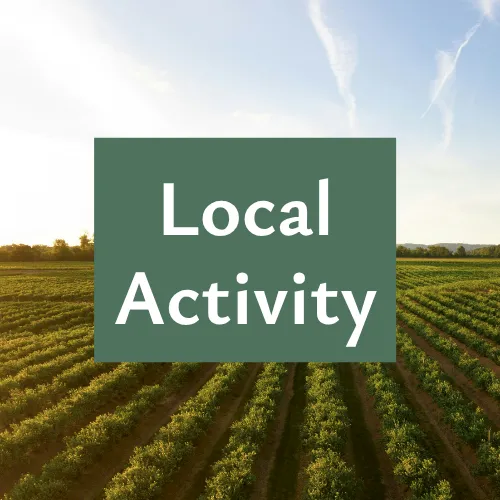 An image with a green &ldquo;Local Activity&rdquo; sign over sunset rows of crops or a vineyard field.